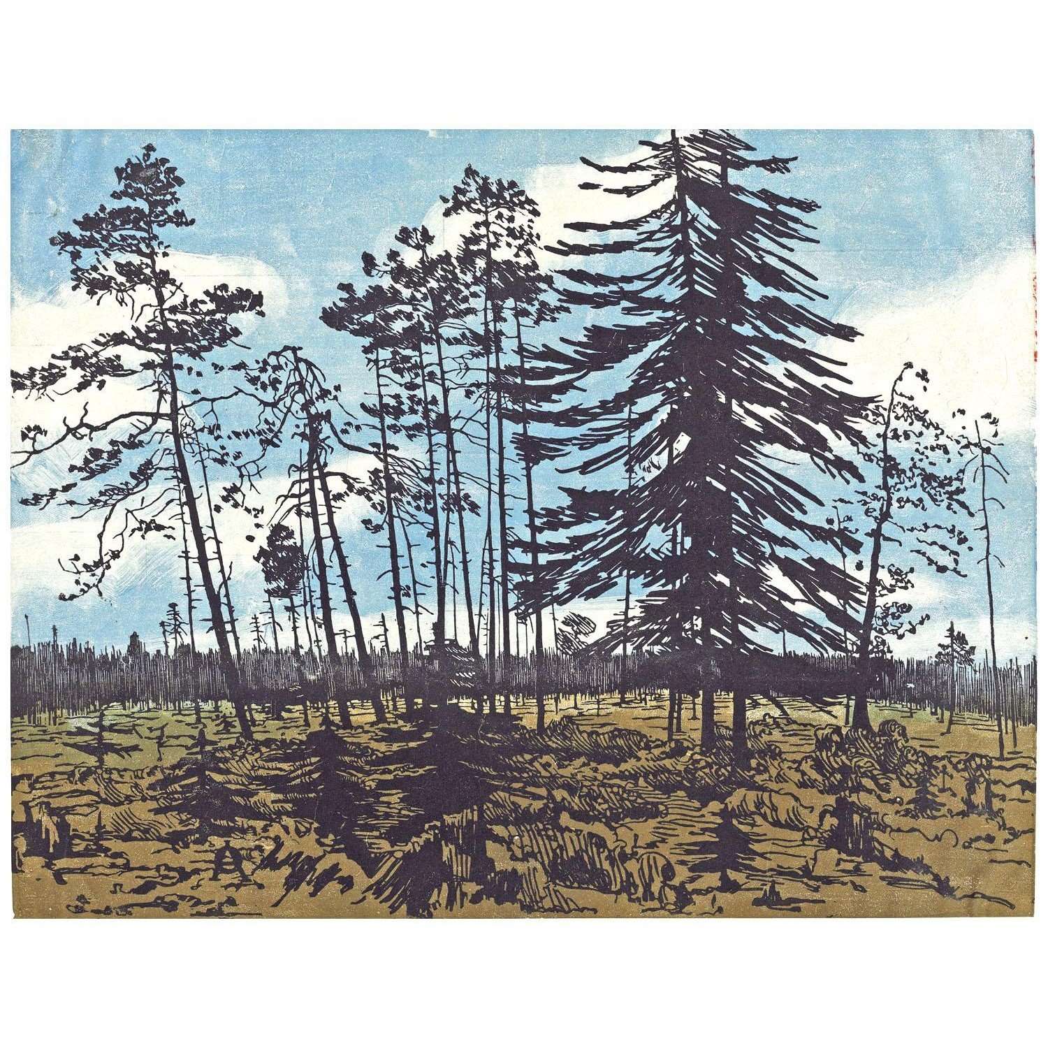  - -.    . 1900.  
