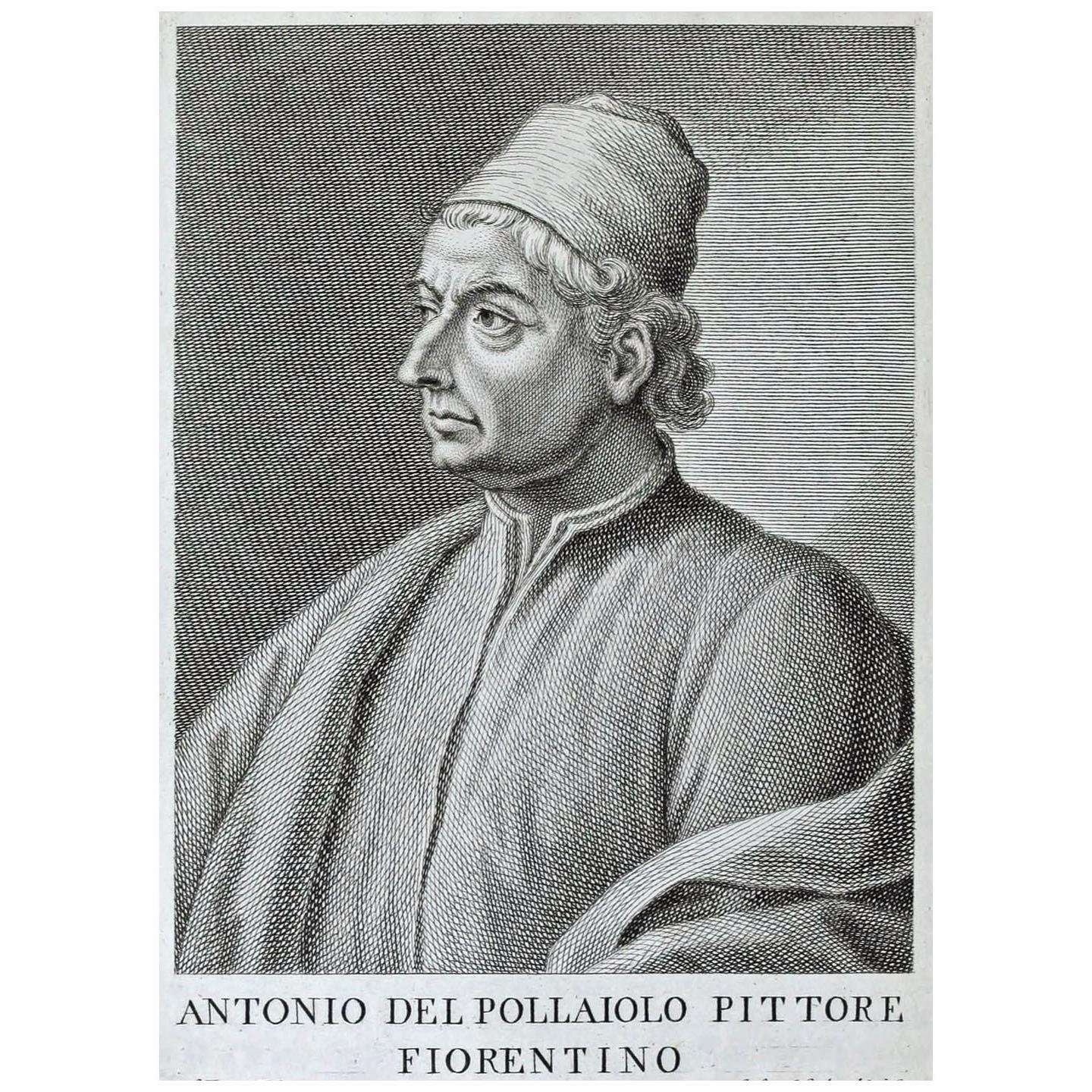  Cosimo Colombini. Ritratto di Antonio del Pollaiolo