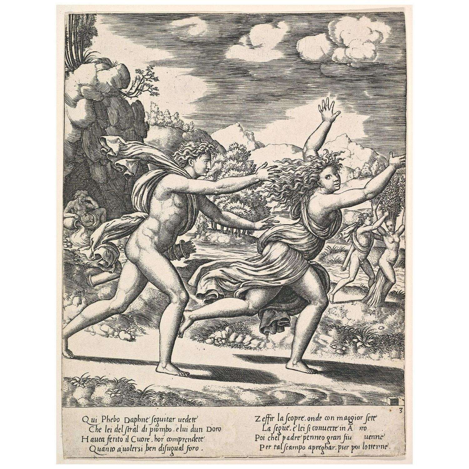  Baldassare Peruzzi. Apollo insegue Dafne. 1530-1536. Metropolitan Museum New York