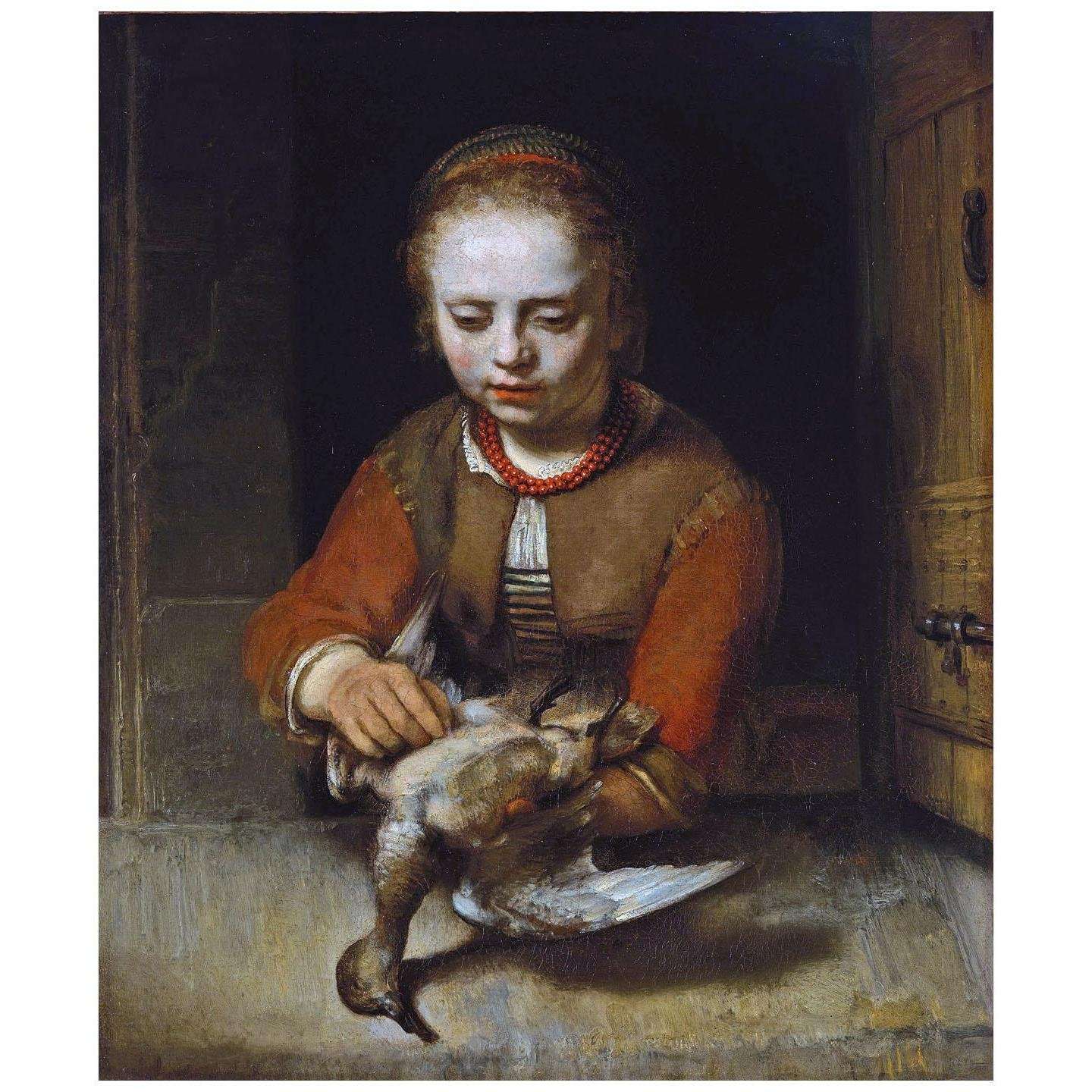  Barent Fabritius. Jong meisje plukt een eend. 1645. Dallas Art Museum