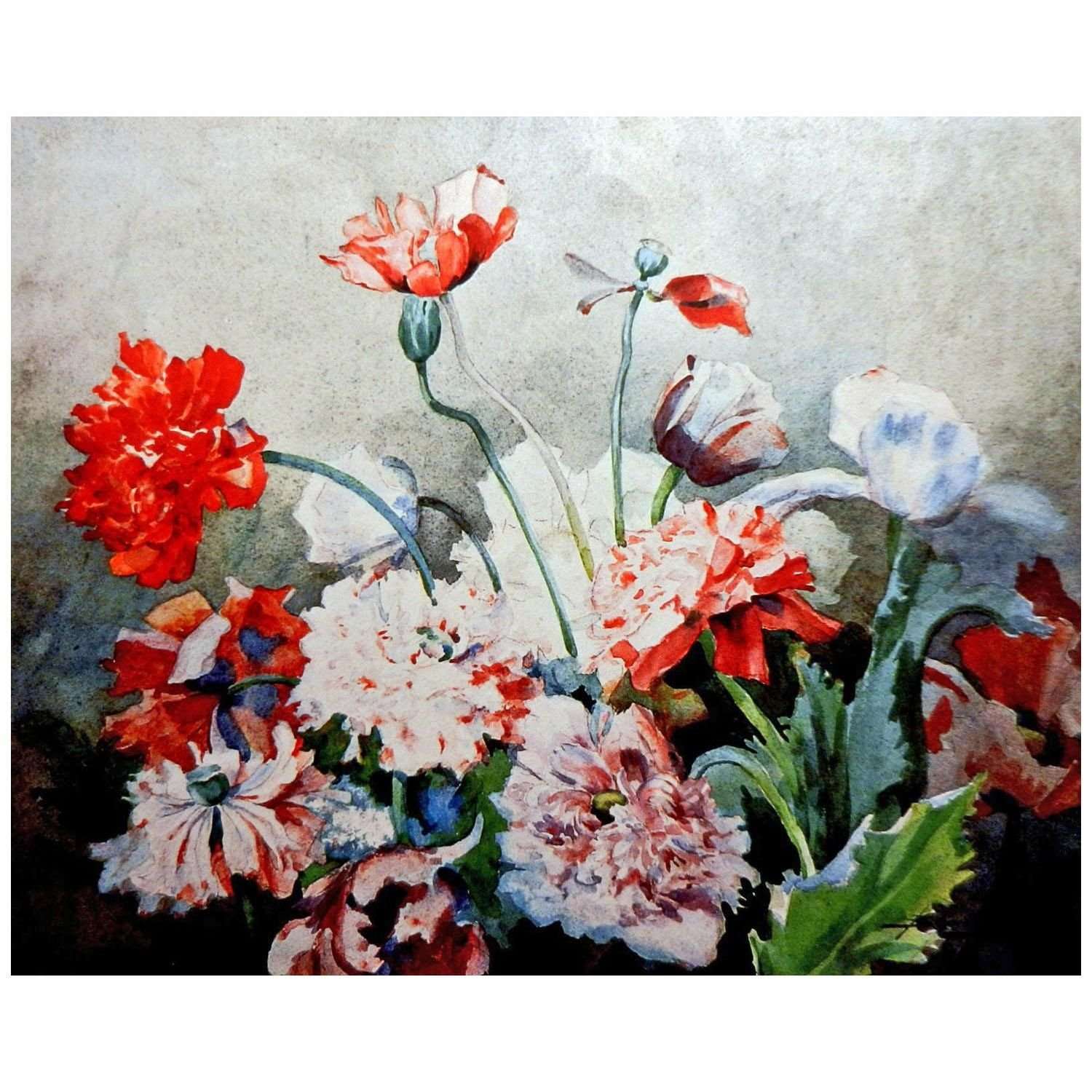 ������� ���������� ����� ����