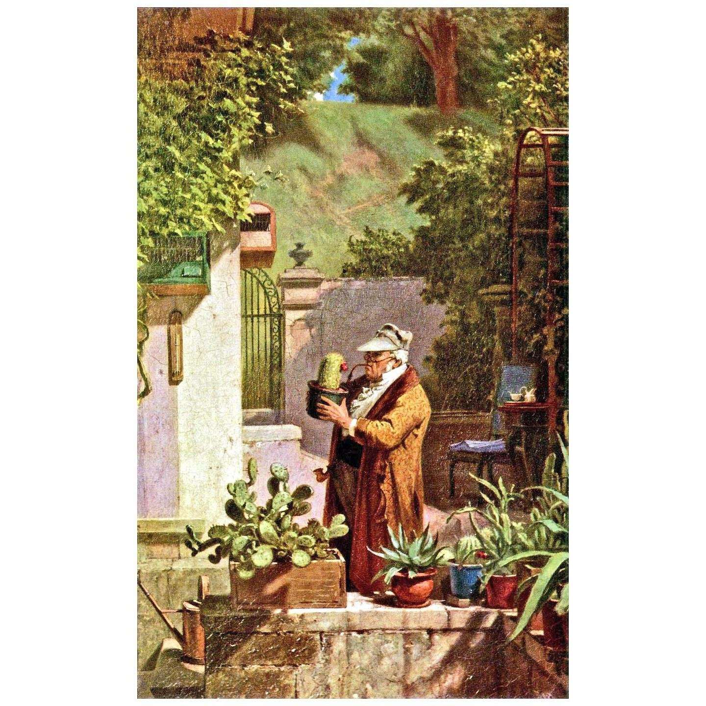  Carl Spitzweg. Der Kaktusfreund. 1856. Museum Schafer Schweinfurt