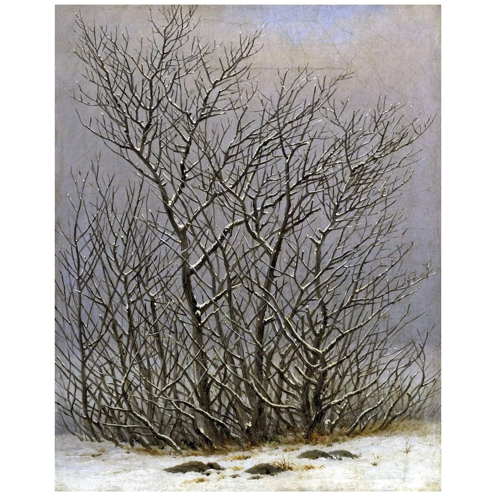   Caspar David Friedrich. Geb?sch im Schnee. 1828. Albertinum Dresden