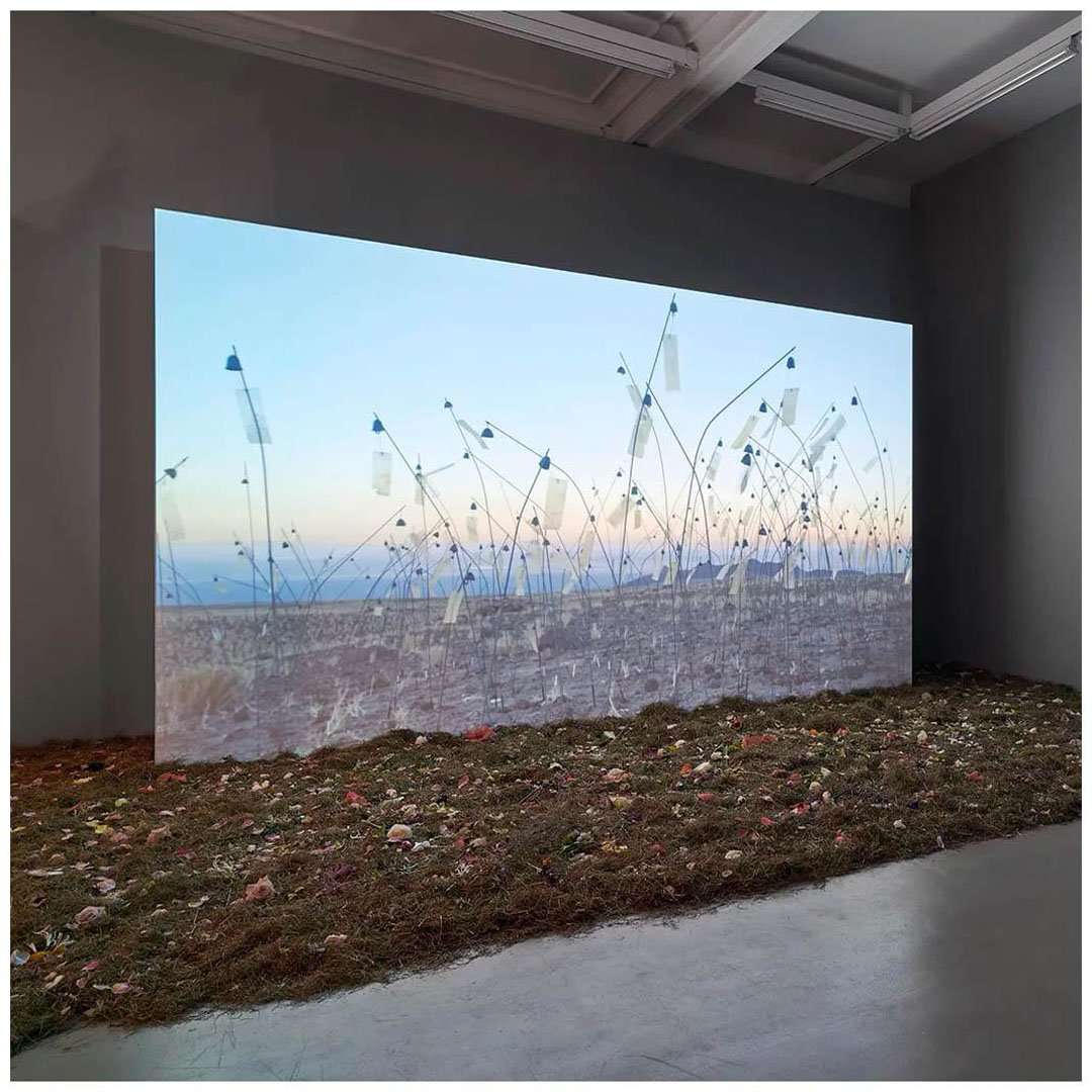  Christian Boltanski. Animitas Chili. 2014
