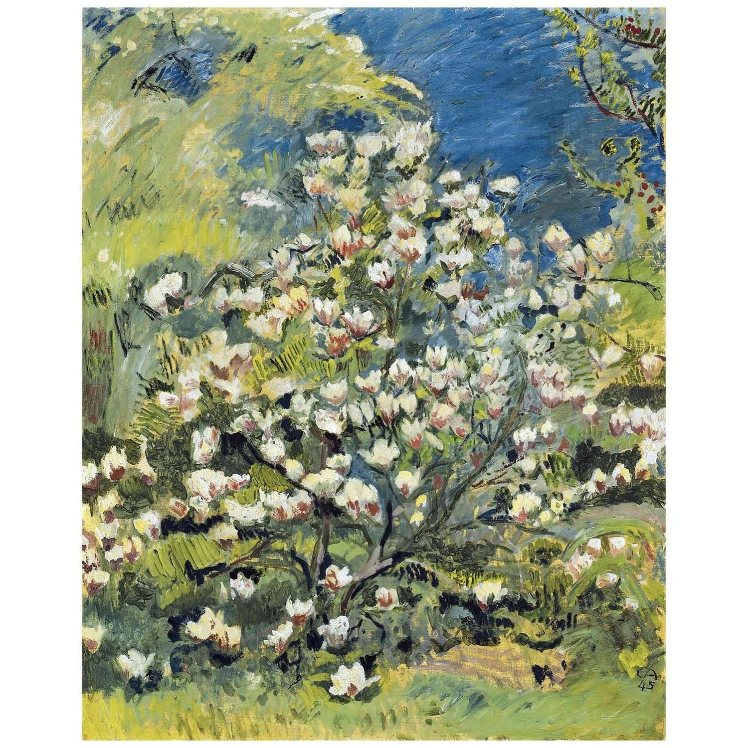  Cuno Amiet. Magnolien. 1945