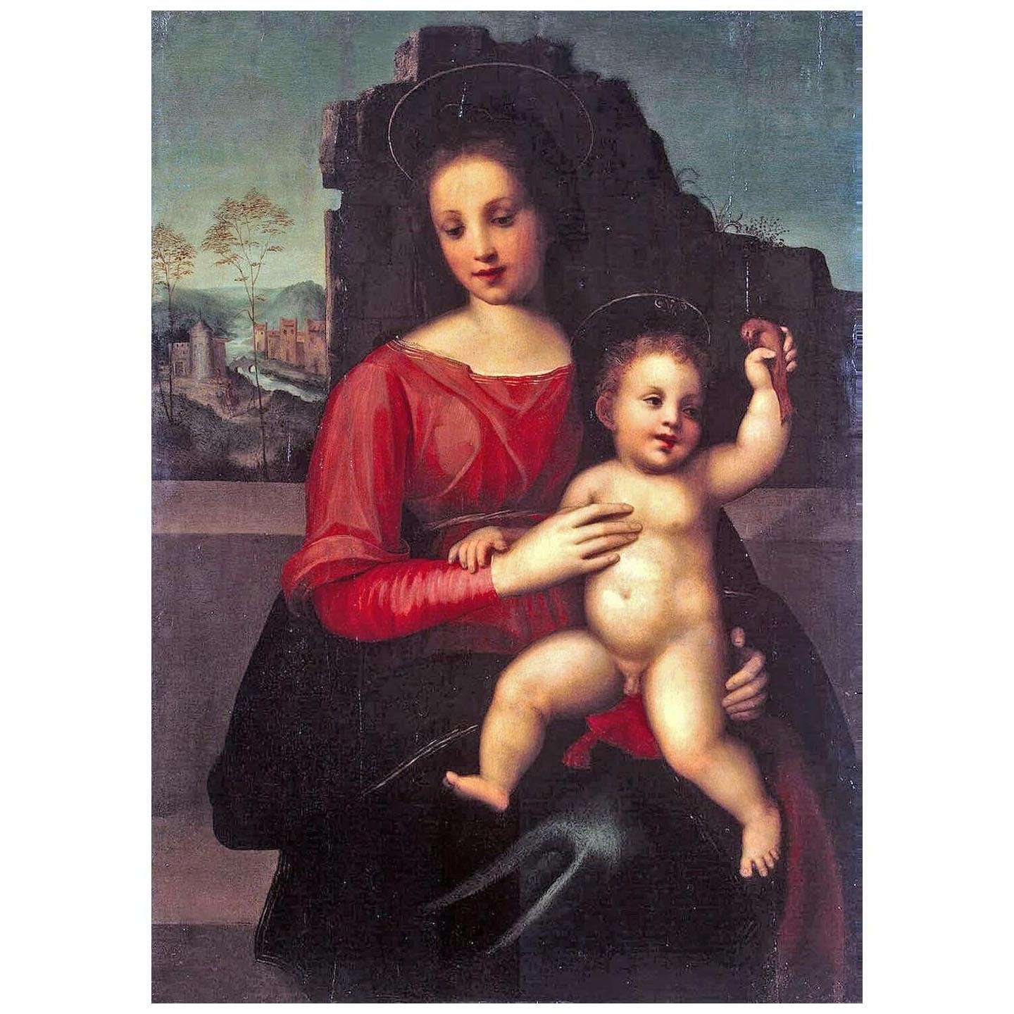  Franciabigio. Madonna col Bambino. 1514. Museo dell'Ermitage