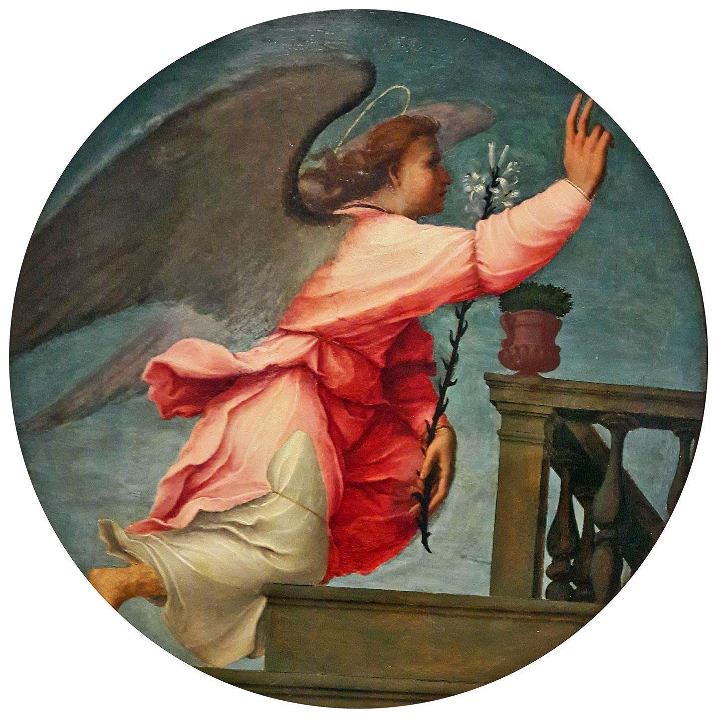  Franciabigio. Angelo. 1510s. Muzeum Narodowe w Warszawie