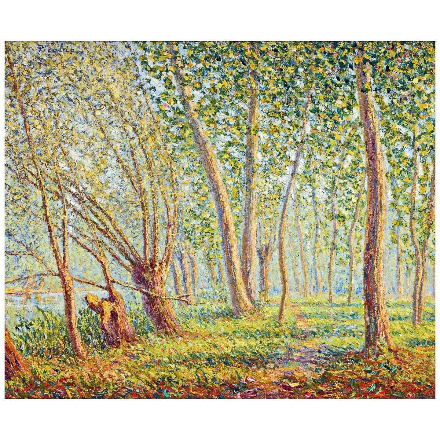  Francis Picabia. Les Vieux saules a Moret. 1905. Collection privee