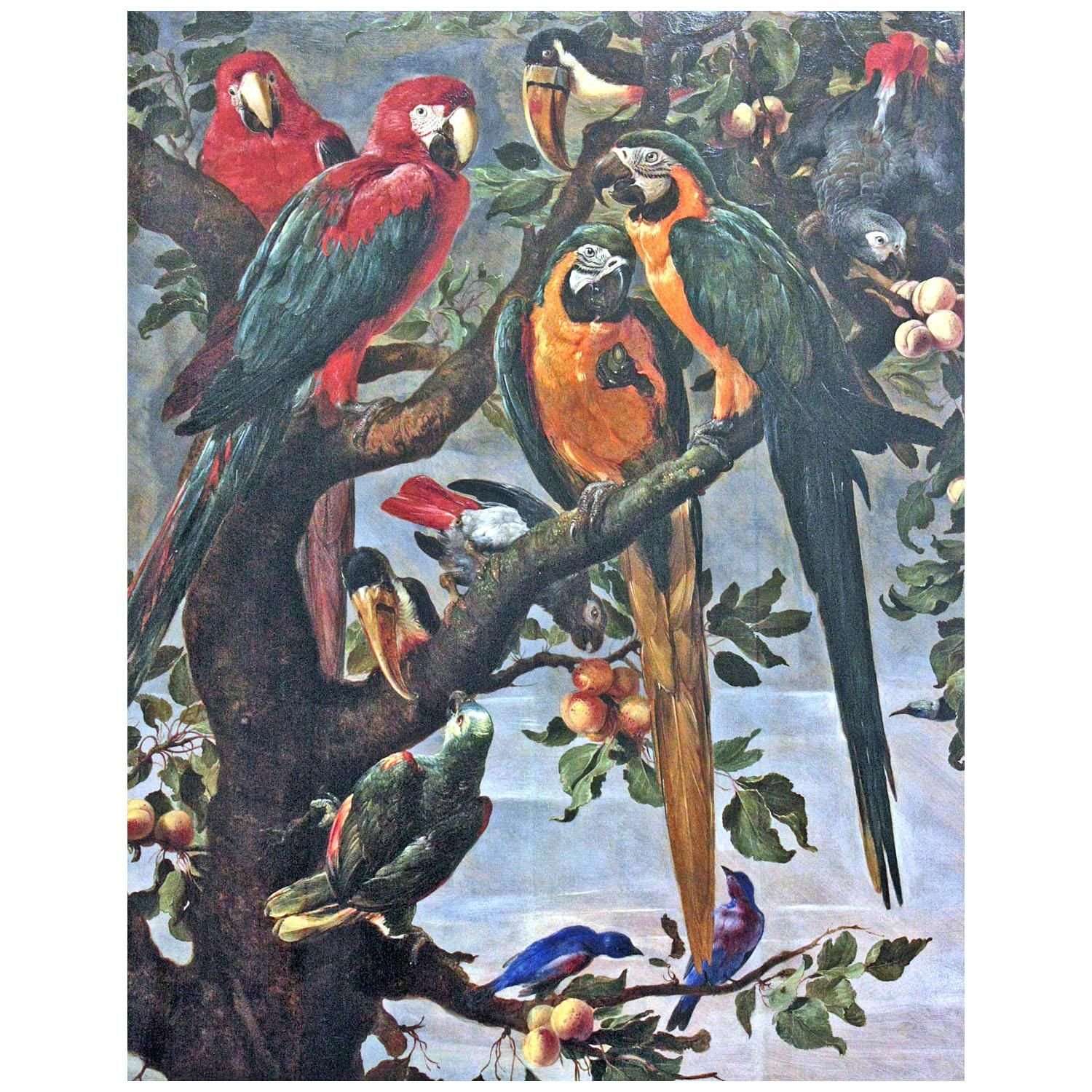  Frans Snyders. Parrots. 1650. Musee de Grenoble