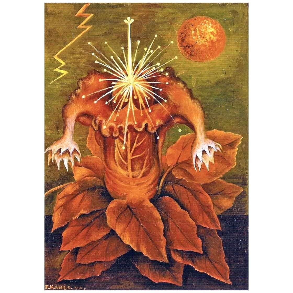  Frida Kahlo. Flor de la vida. 1943. Museo Dolores Olmedo Mexico