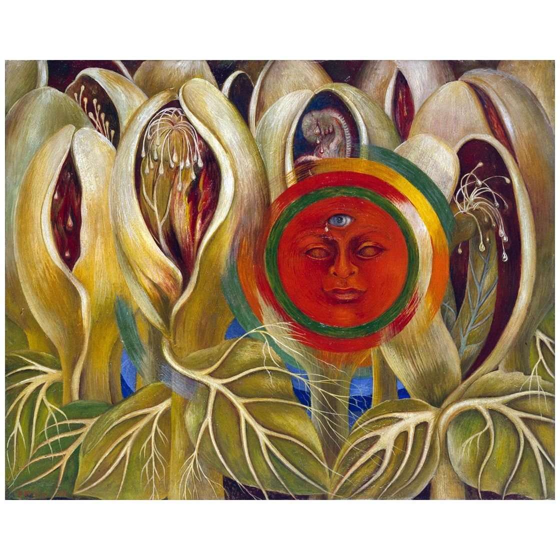  Frida Kahlo. Sol y vida. 1947. Galeria Arail Mexico