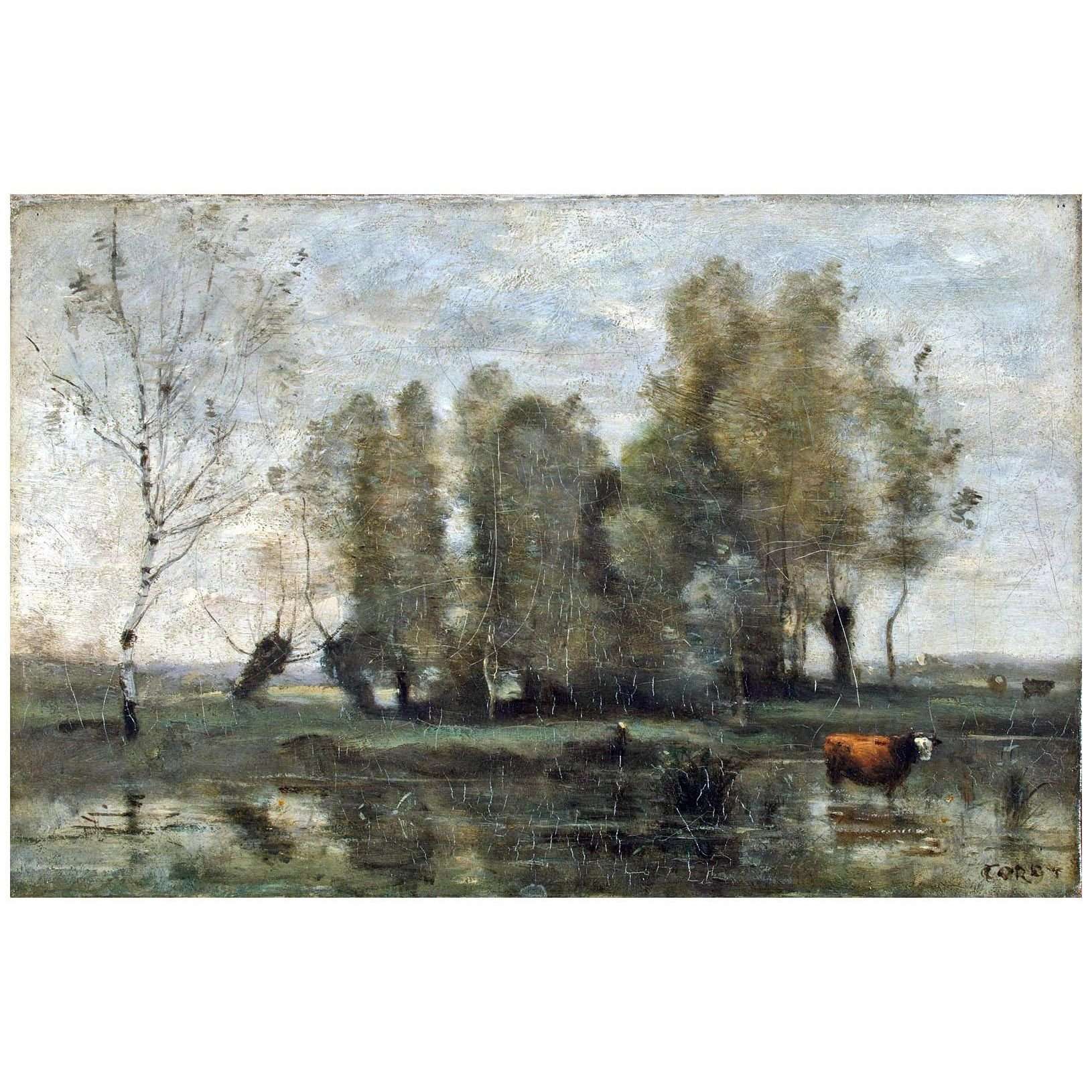    Camille Corot. Arbres dans un marais. 1858. Hermitage Museum