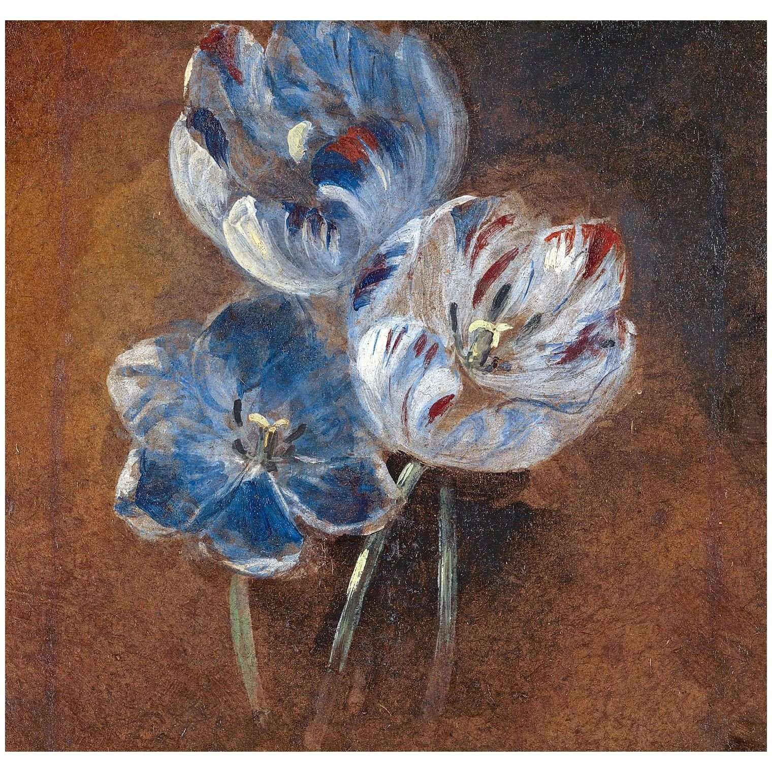  John Constable. Three Parrot Tulips. 1832. Yale Center for British Art