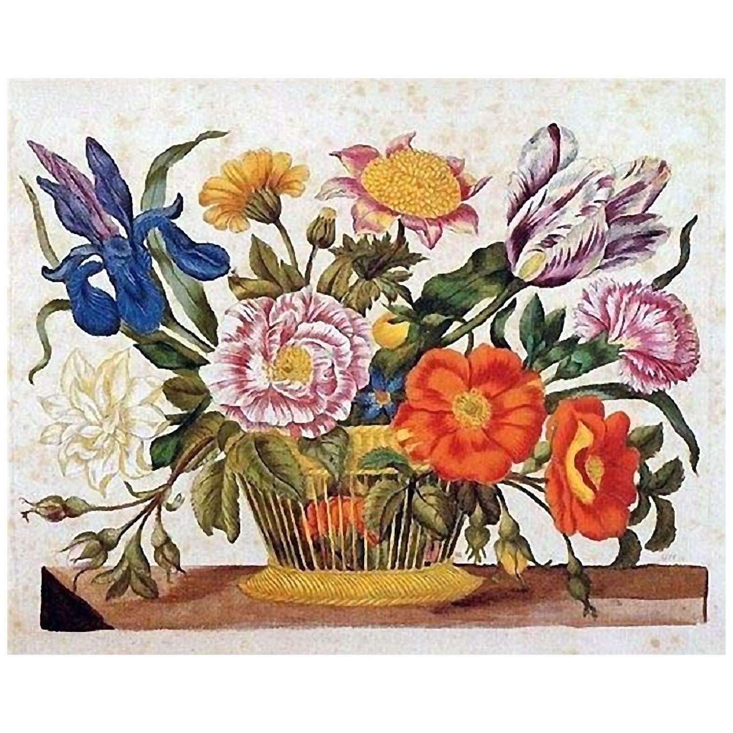  Maria Sibylla Merian. Der Raupenbuch, CLXIX. 1679. Universitat Nurnberg