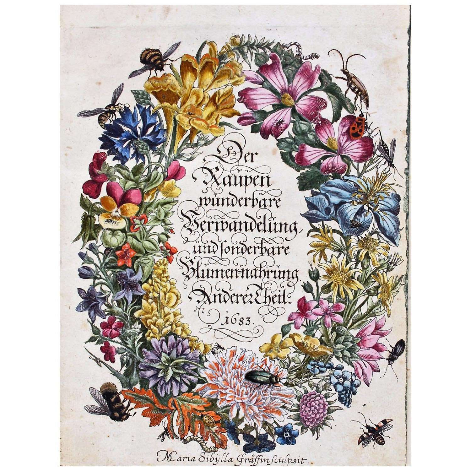  Maria Sibylla Merian. Der Raupenbuch II, Titul. 1683. Goethe Universitat Frankfurt