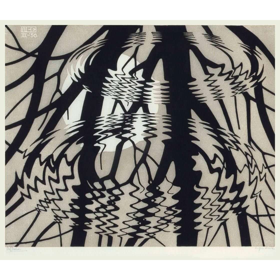  Maurits Cornelis Escher. Ripped Surface. 1950