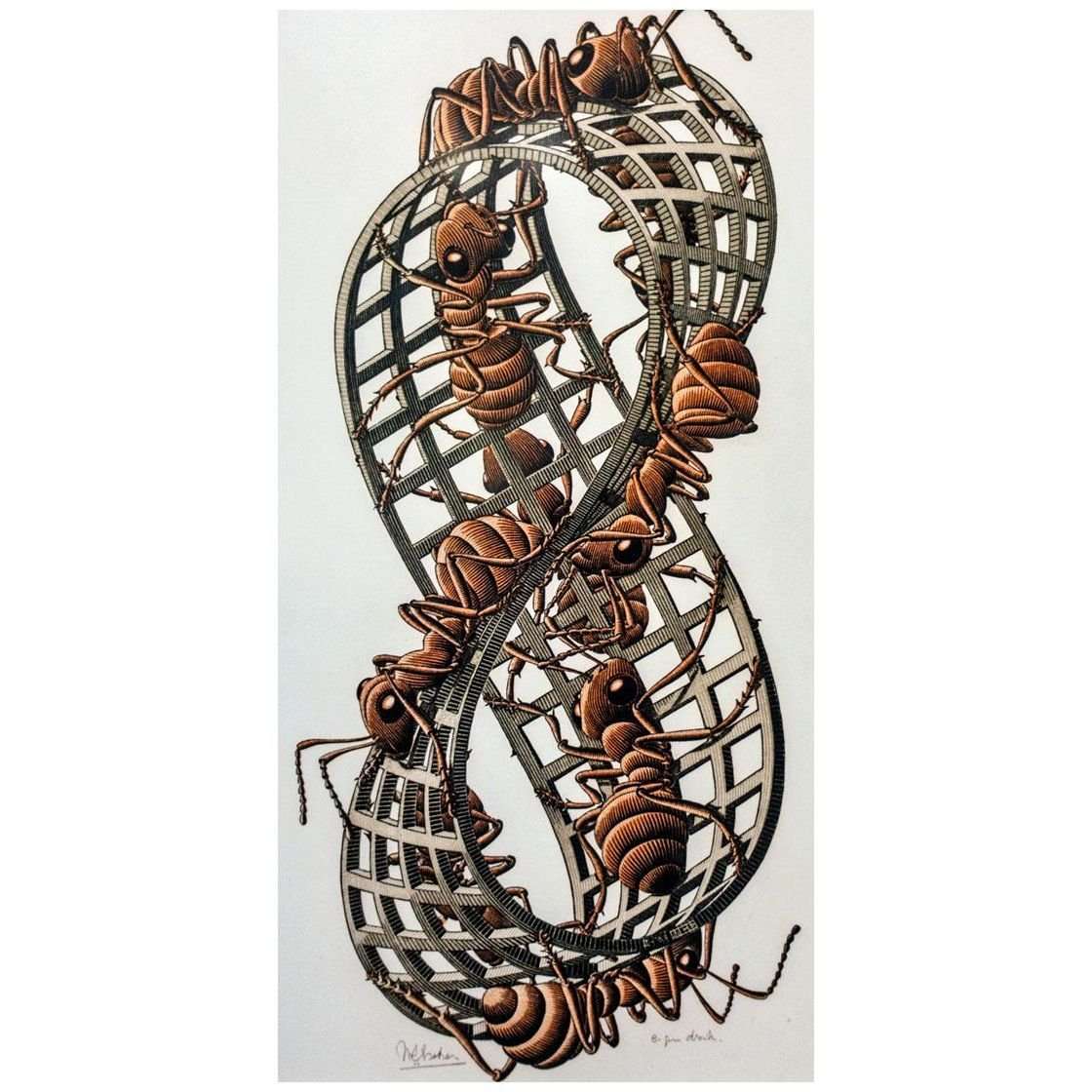  Maurits Cornelis Escher. Mobius Strip (Red Ants). 1963