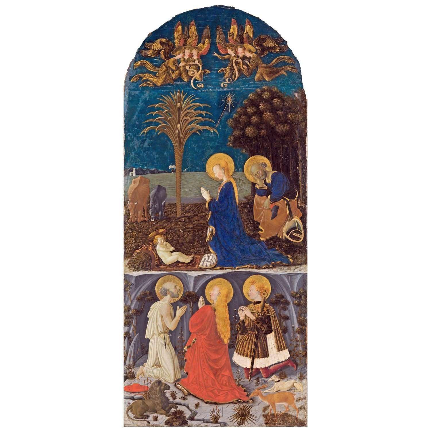 ������� ���������� �����  �������