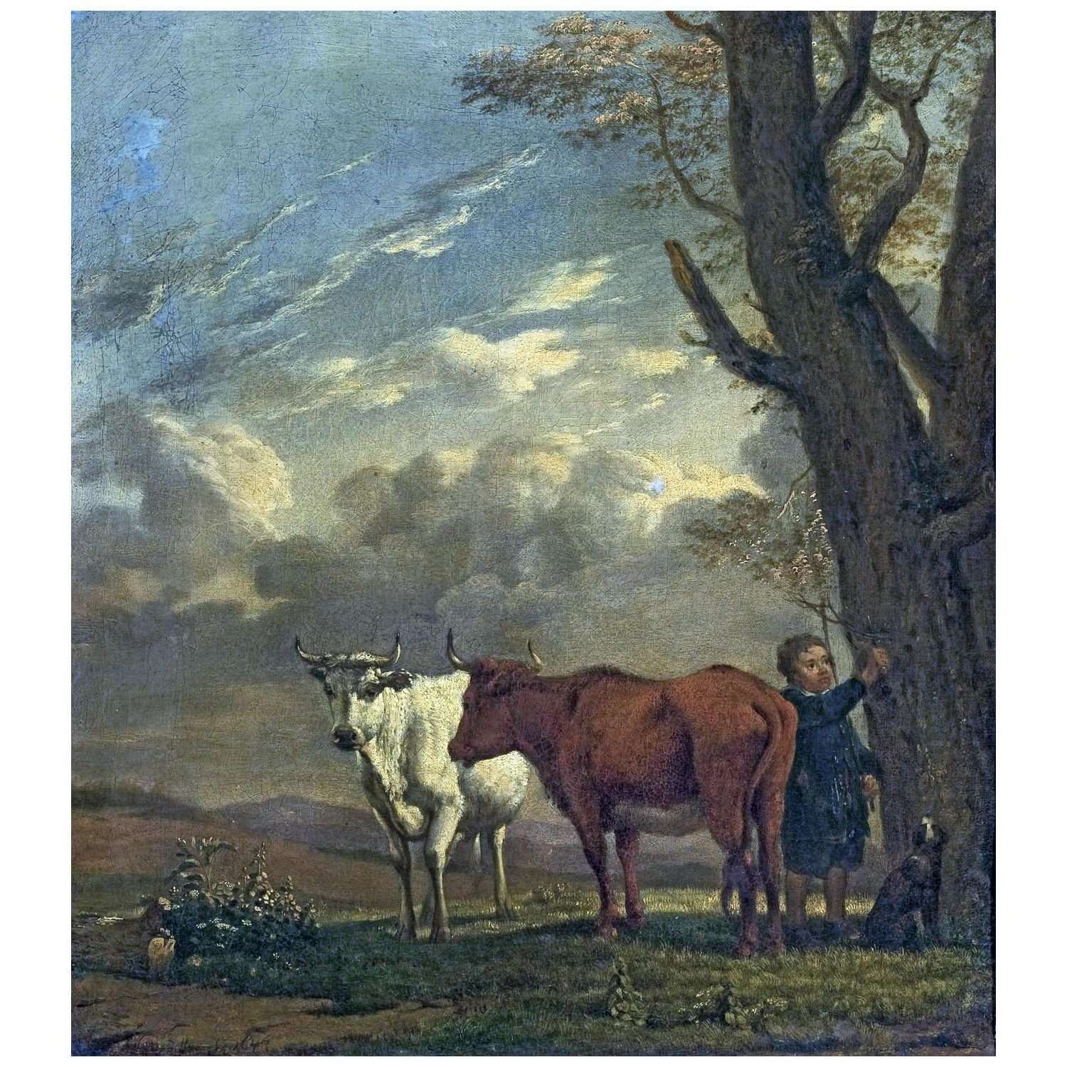  Paulus Potter. A Shepherd with Cows. 1647. MNW Warszawa
