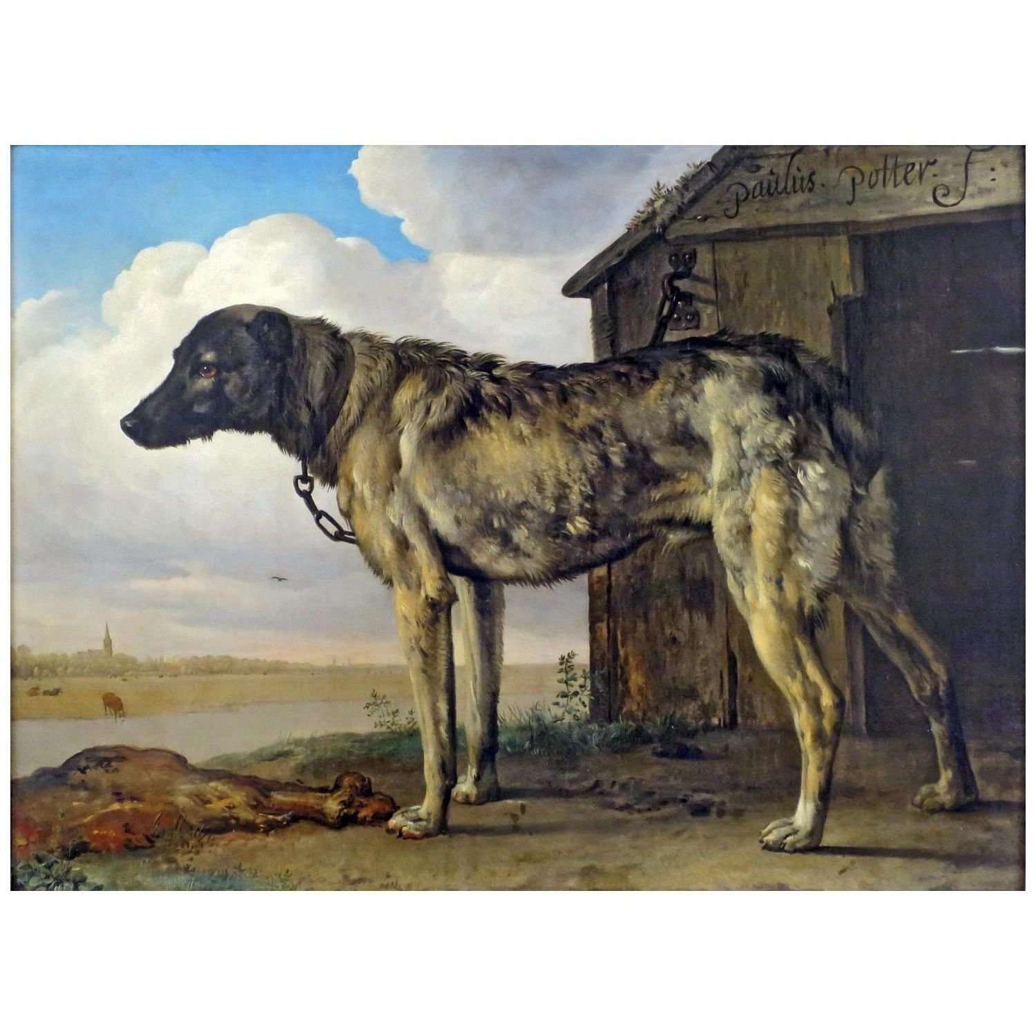  Paulus Potter. Wolf-Hound. 1648. Hermitage Museum
