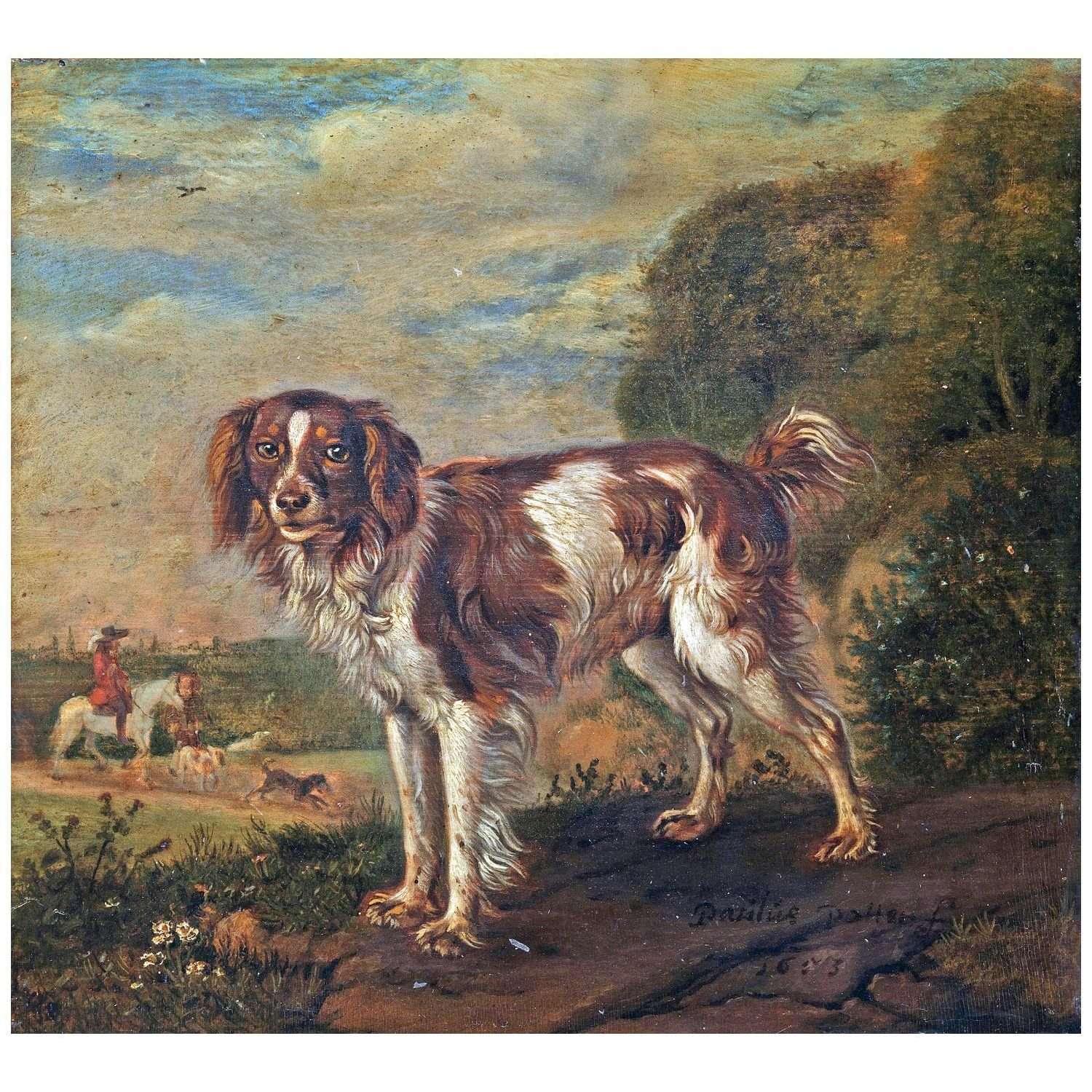  Paulus Potter. A Partridge Dog. 1653. Rijksmuseum Amsterdam