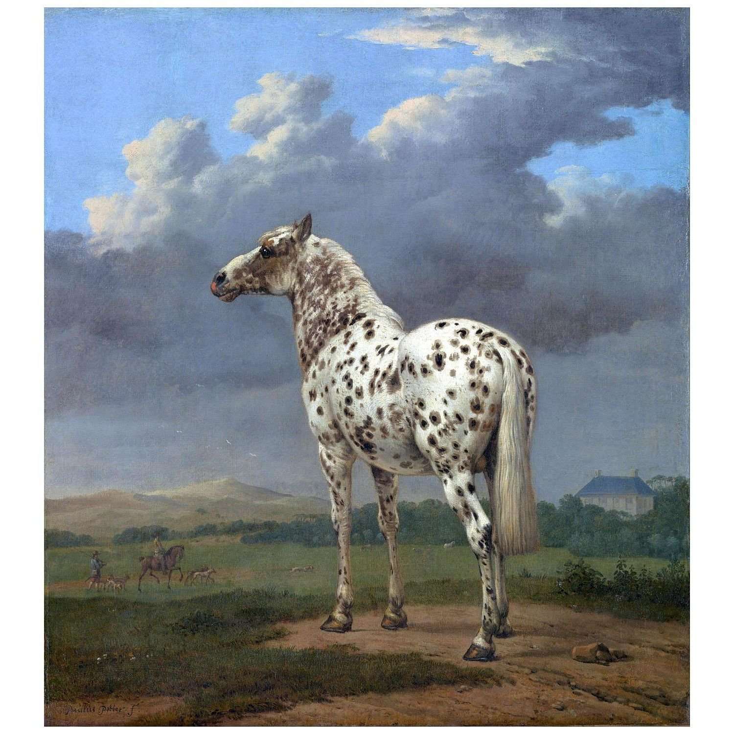  Paulus Potter. The Piebald Horse. 1653-1654. Getty Center LA