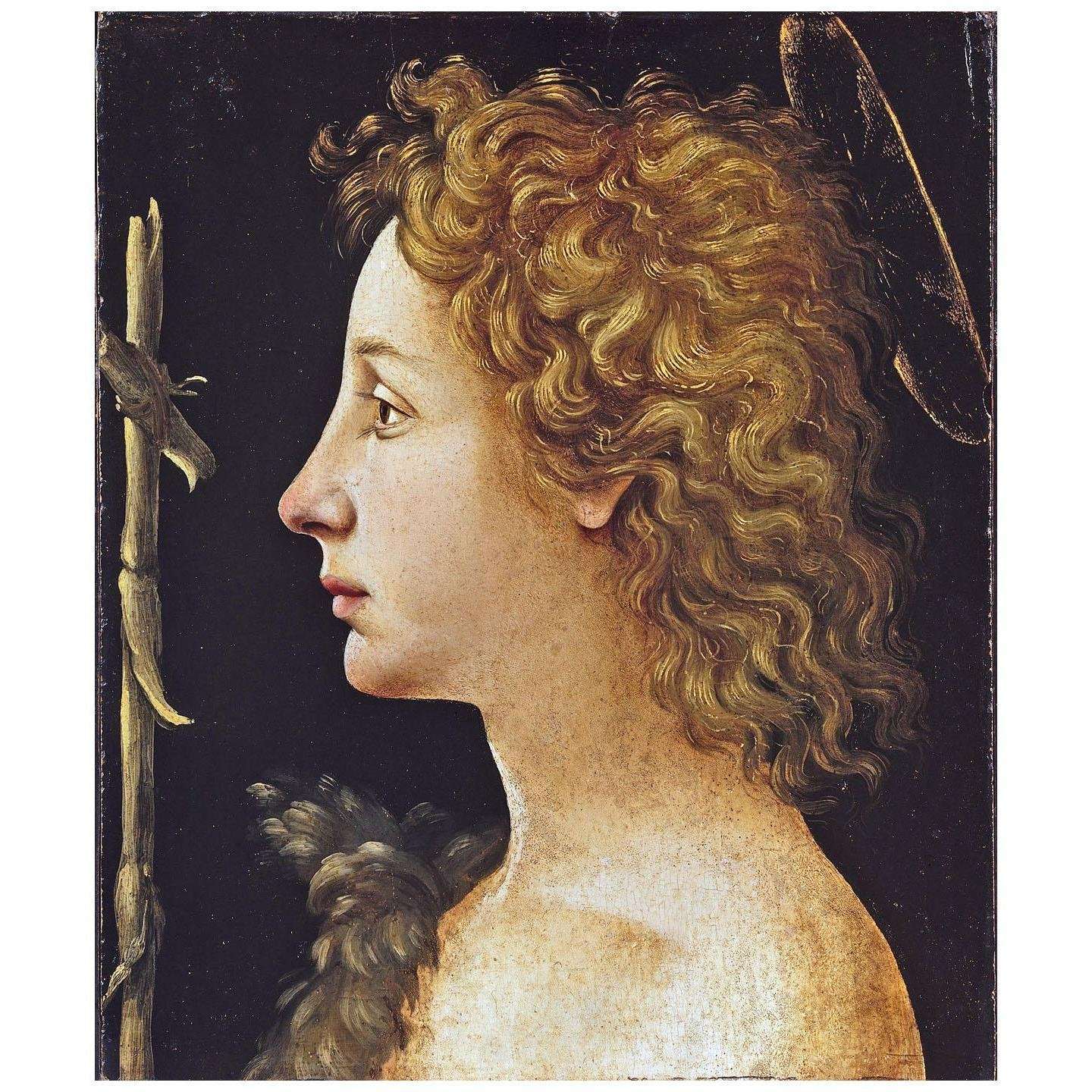   Piero di Cosimo. Giovane San Giovanni Battista. 1480. Metropolitan Museum New York