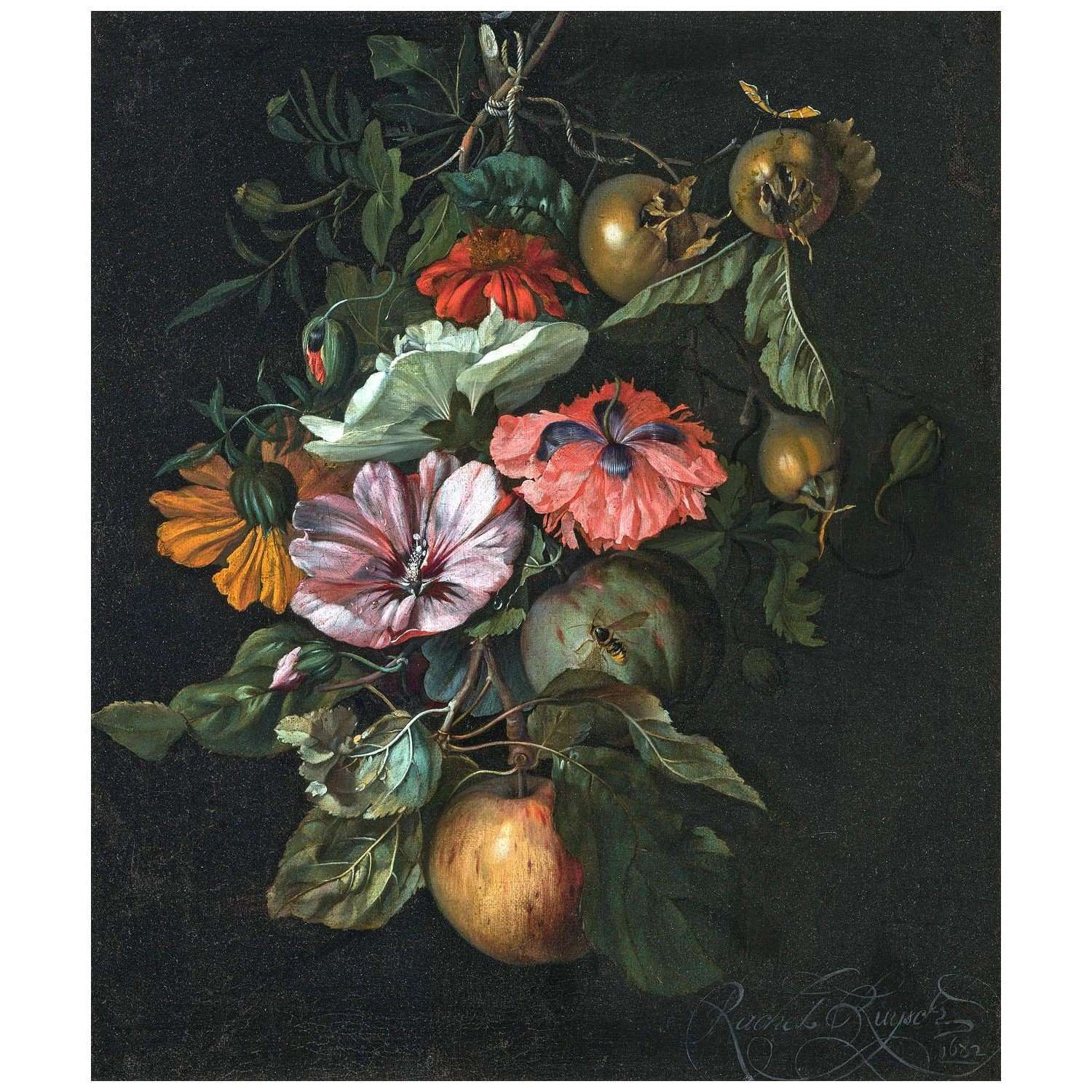  Rachel Ruysch. Festoon of fruits and flowers. 1682. N?rodn? galerie v Praze