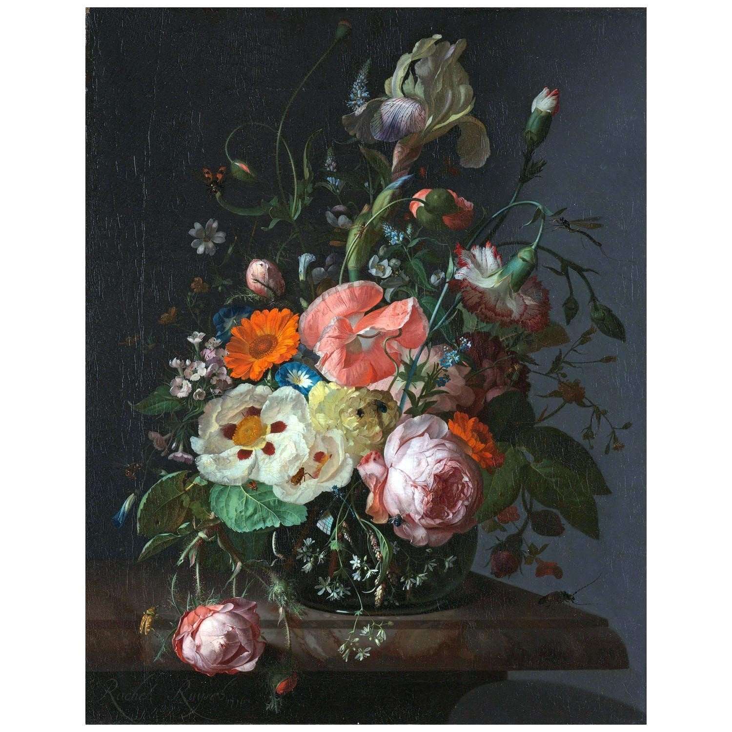  Rachel Ruysch. Still Life with Flowers on Marble Table. 1716. Rijksmuseum Amsterdam