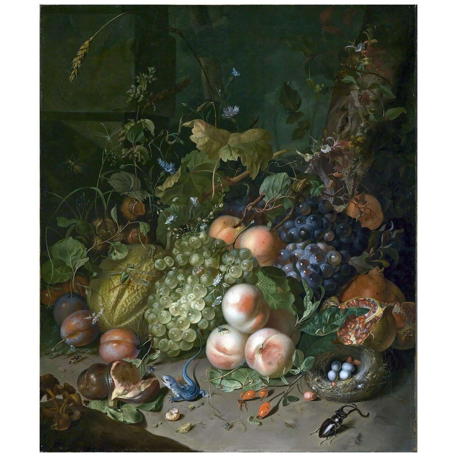  Rachel Ruysch. Fruit, Nest, Lizard and Insects. 1717. Kunsthalle Karlsruhe