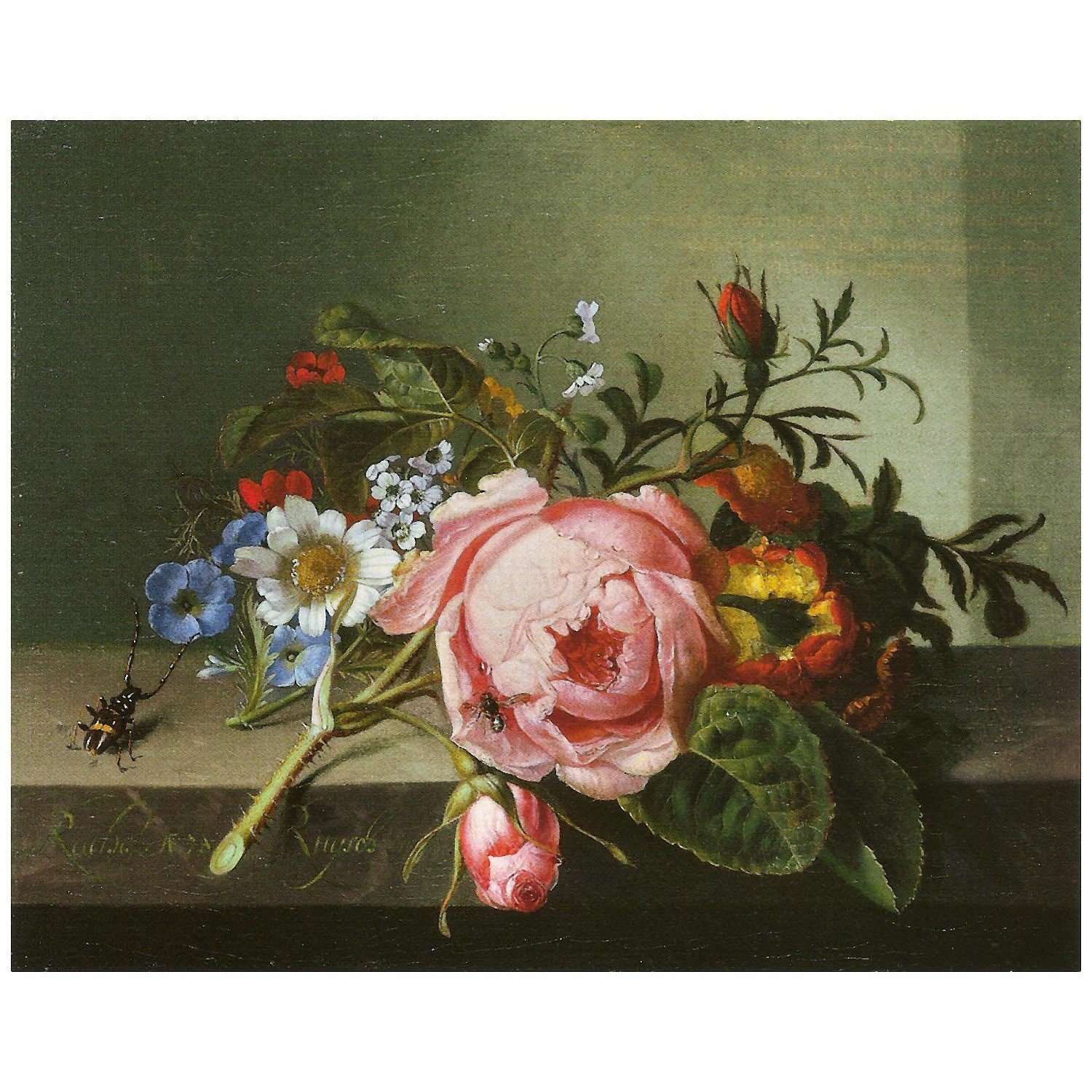  Rachel Ruysch. A Branch of Roses. 1741. Kunstmuseum Basel