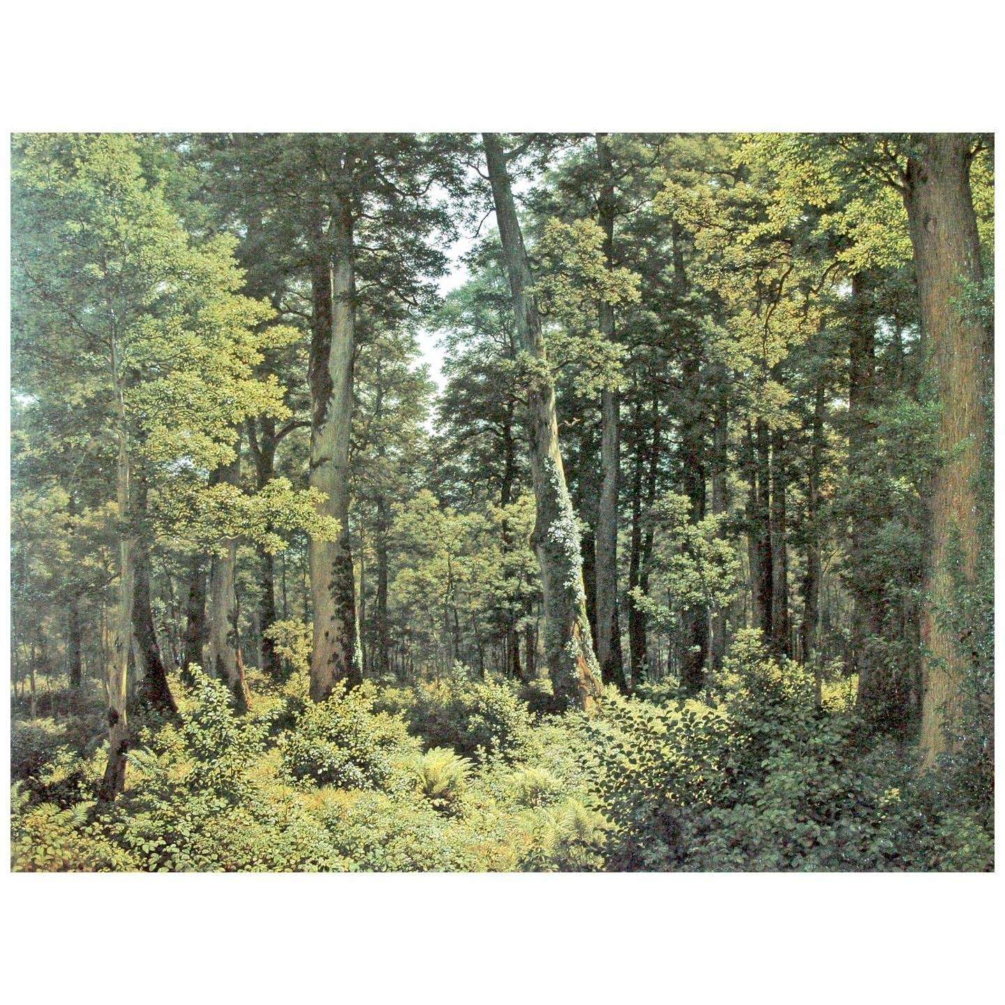 Robert Zund. Eichenwald. 1882. Kunsthaus Zurich