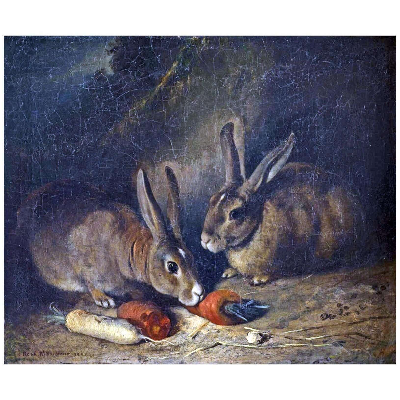  Rosa Bonheur. Lapins. 1840. MUSBA Bordeaux