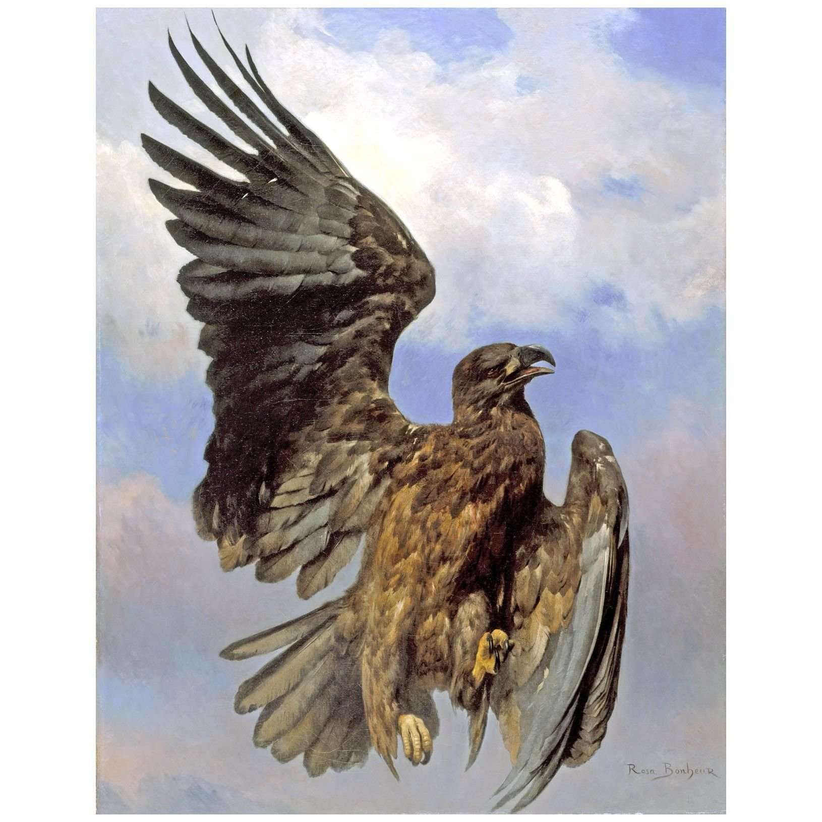  Rosa Bonheur. L'Aigle Bless?. 1870. LACMA Los Angeles