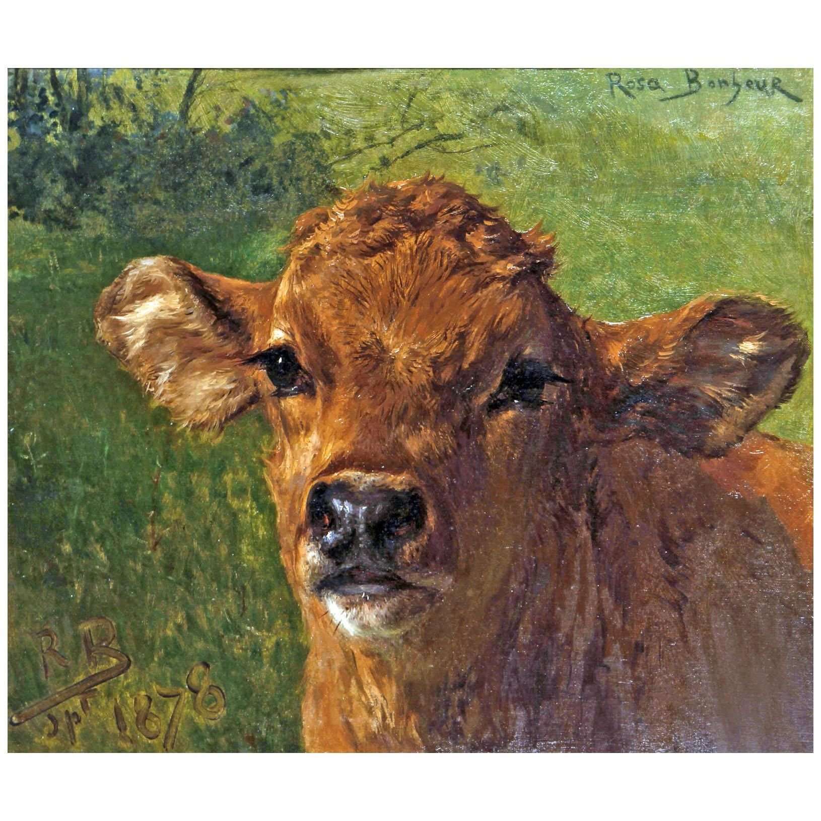  Rosa Bonheur. Portrait dun veau. 1878. Private collection