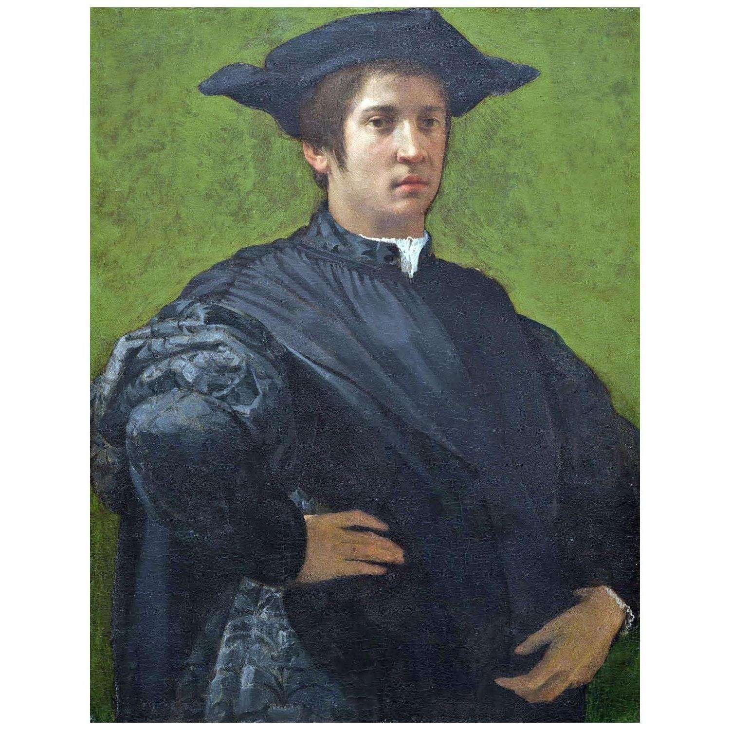  Rosso Fiorentino. Ritratto di giovane. 1522. National Gallery of Art Washington