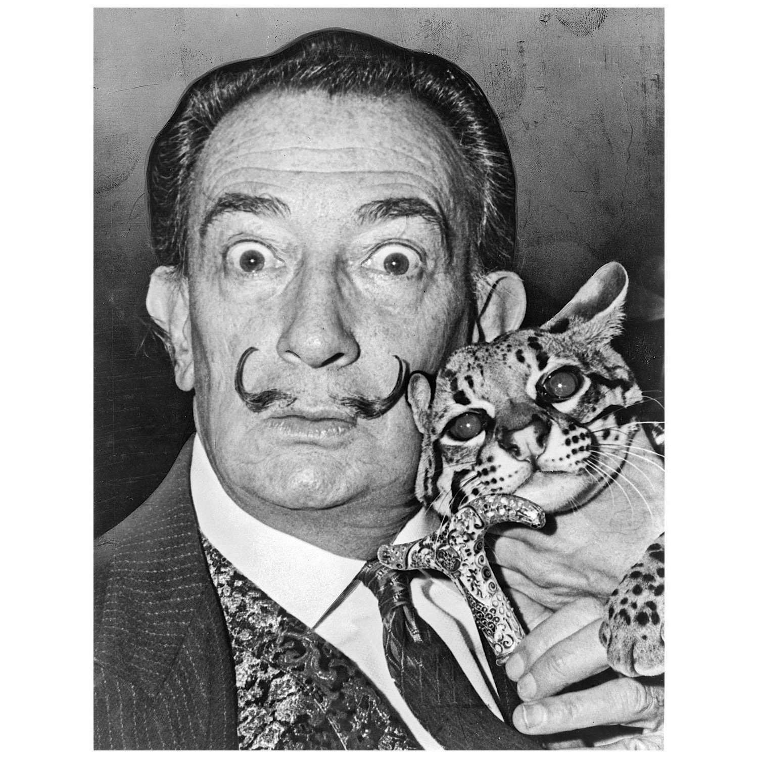  Salvador Dali with his pet ocelot. 1965. Photographer Roger Higgins