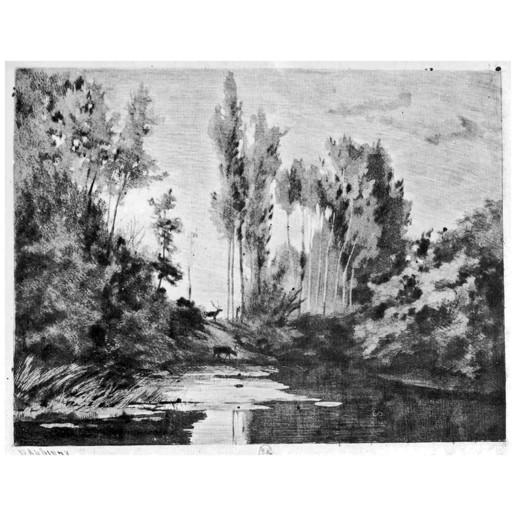  Charles-Fran?ois Daubigny. Rennes sur le ravage. 1848. Biblioth?que Nationale, Paris