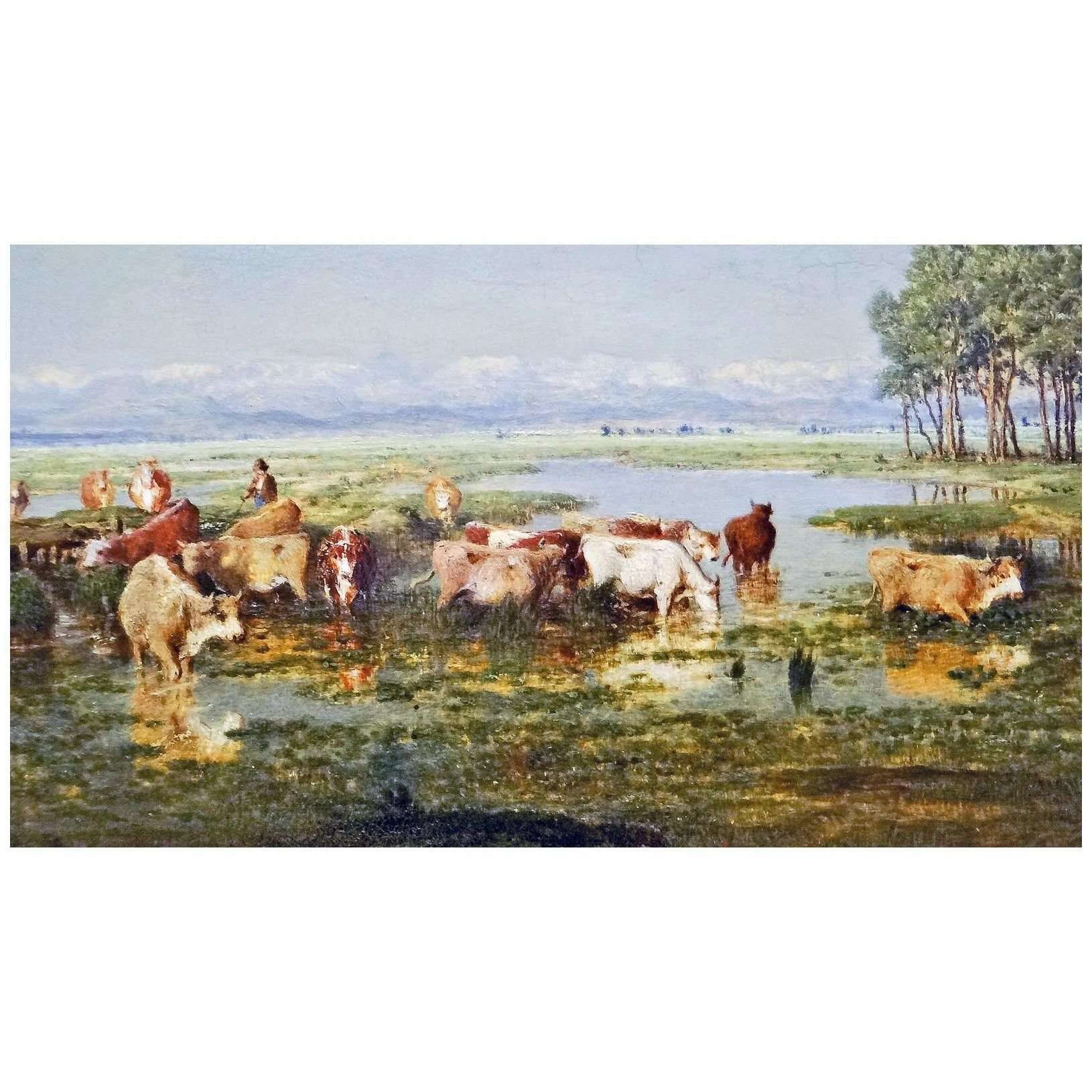  Theodore Rousseau. Un marais dans les Landes. 1852. Musee du Louvre