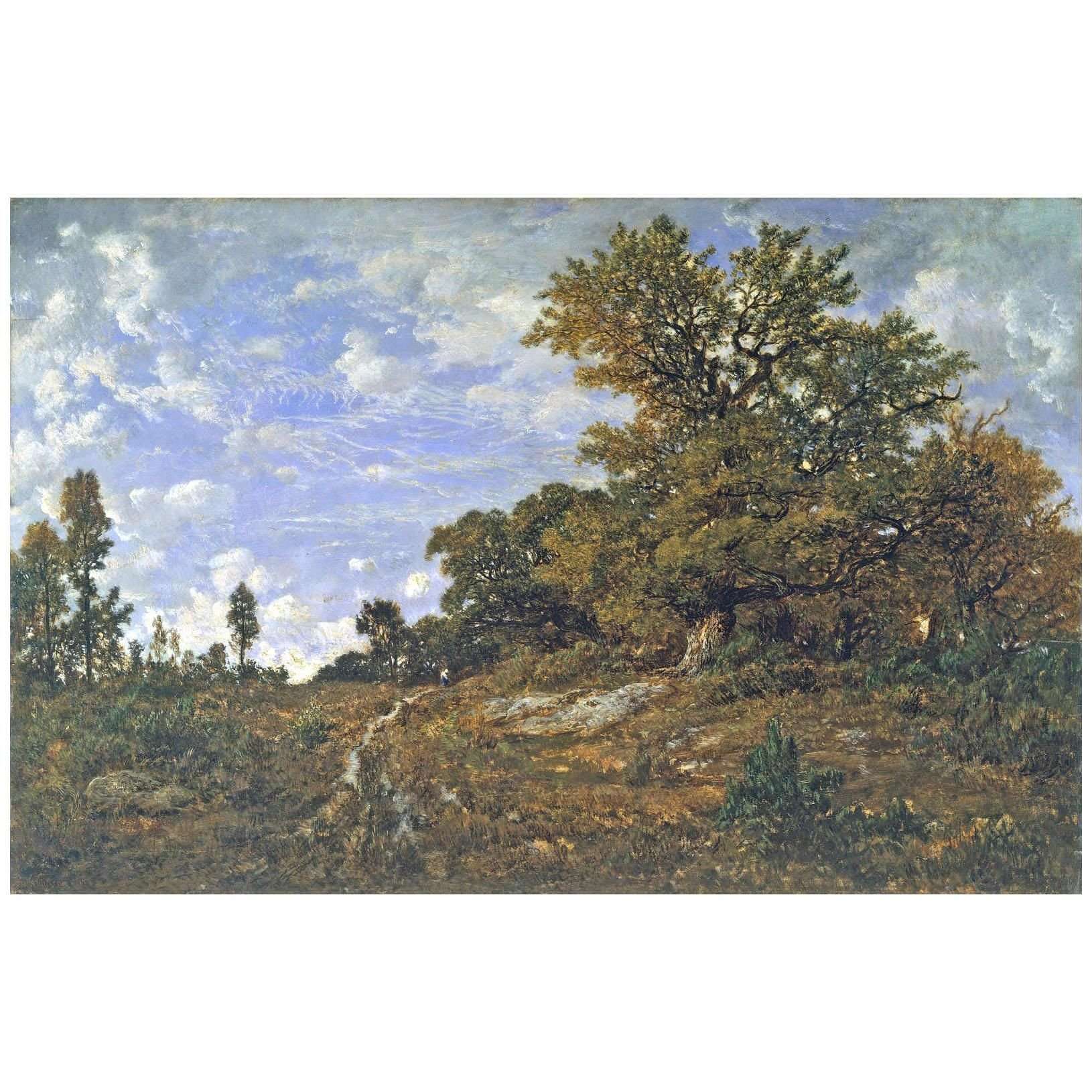  Theodore Rousseau. For?t de Fontainebleau. 1854. Metropolitan Museum NY