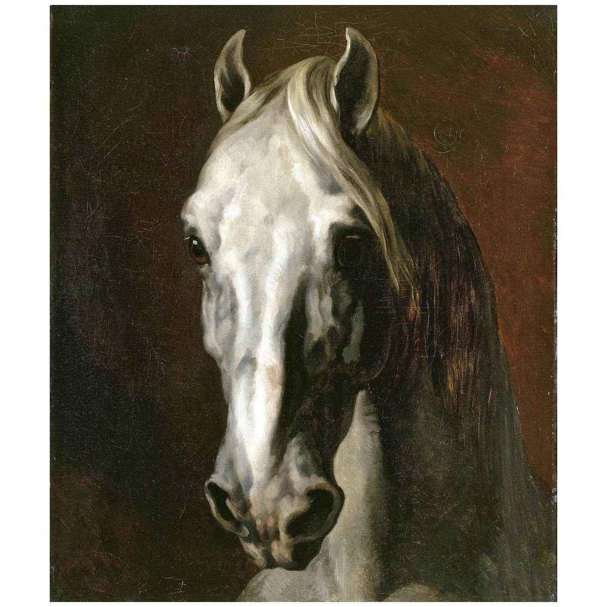  Theodore Gericault. Tete de cheval blanc. 1815. Louvre Paris