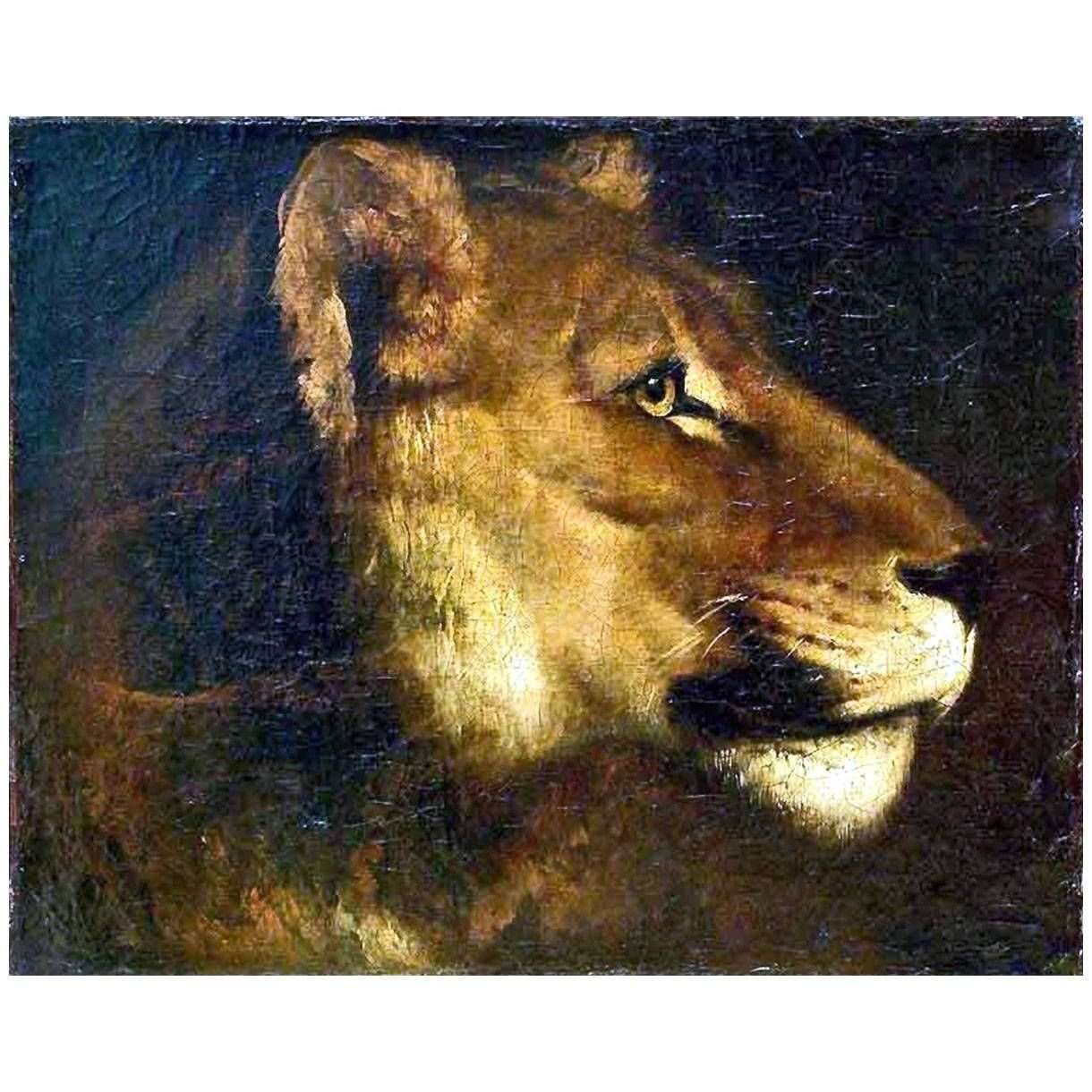  Theodore Gericault. Tete de lionne. 1819. Louvre Paris