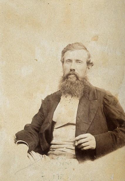 ���� ������� ����