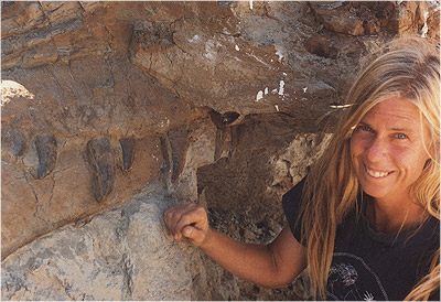 ��� ���������� - ���������� �� ������� �����