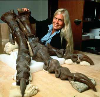 ��� ���������� - ���������� �� ������� �����