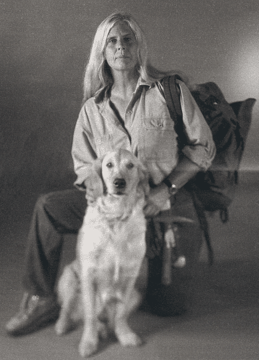 ��� ���������� - ���������� �� ������� �����