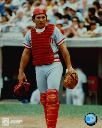 ����� ���� - ���������� �� ������� �����