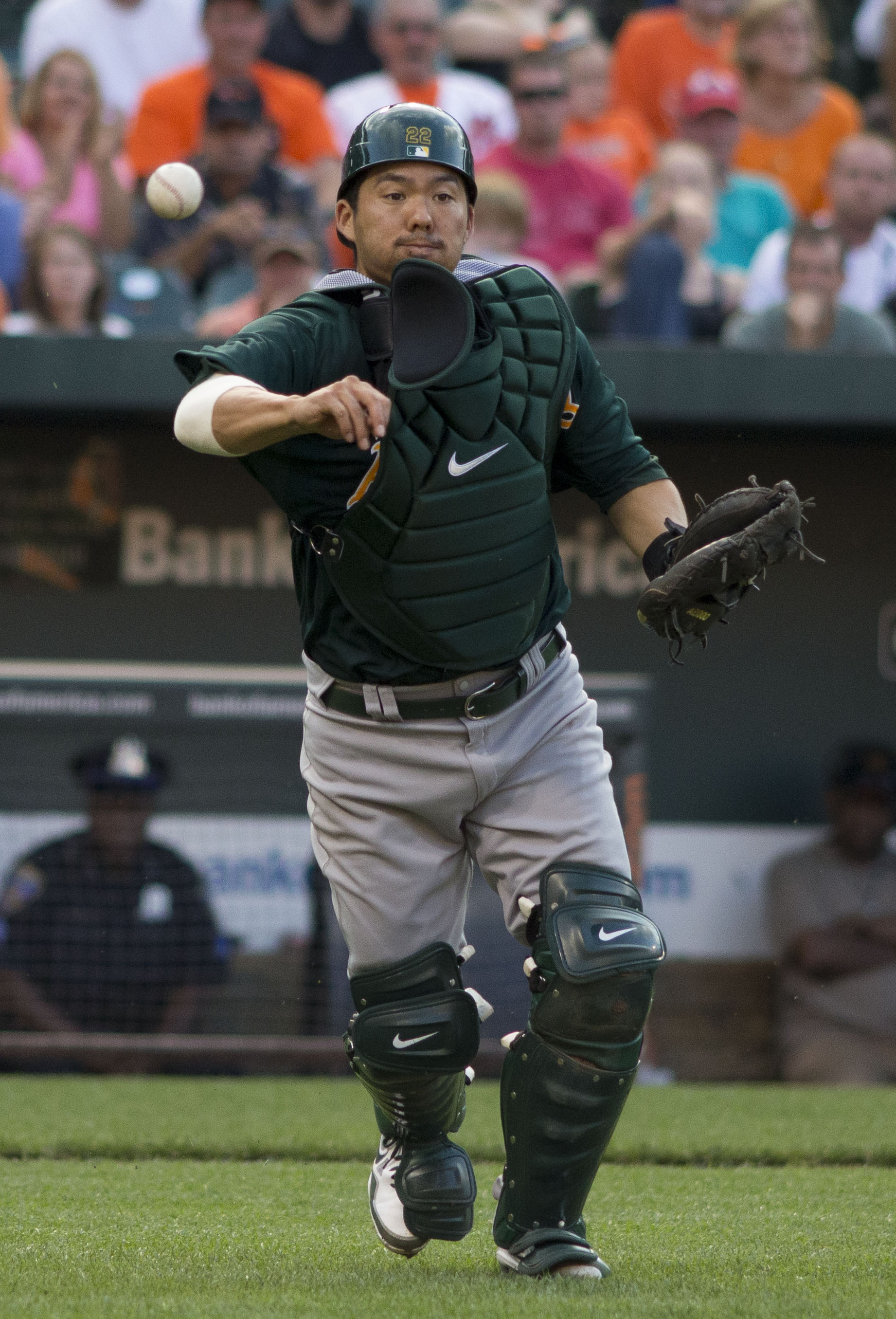 ���� ����� - ���������� �� ������� �����