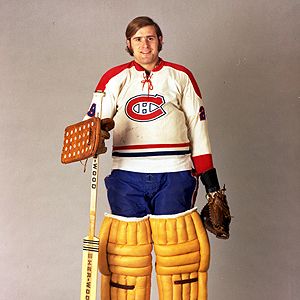 ��� �������