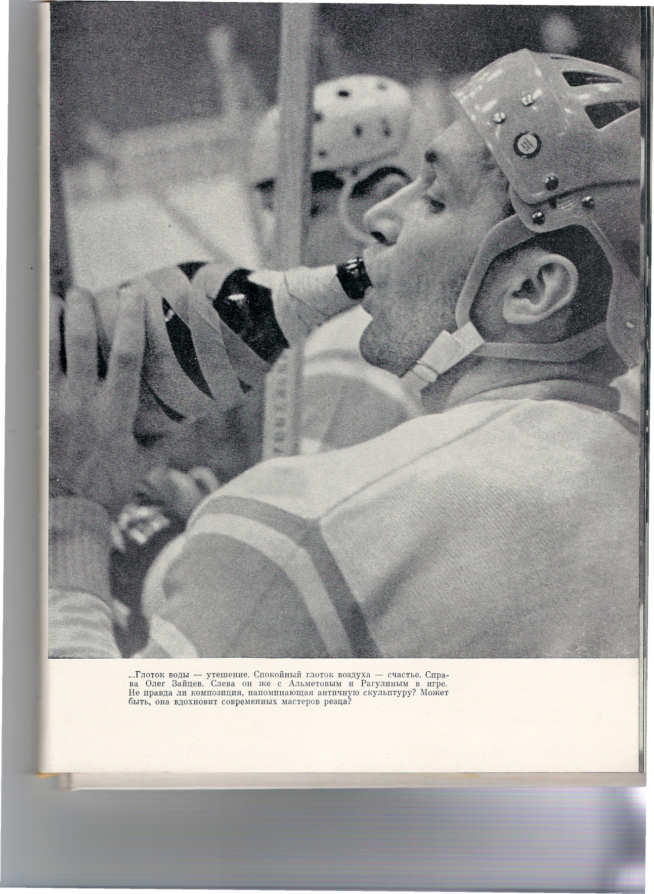 ���� ������